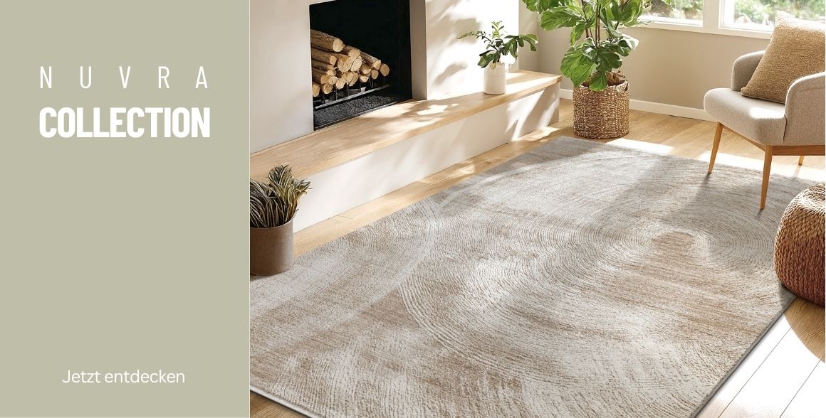 the carpet shop banner