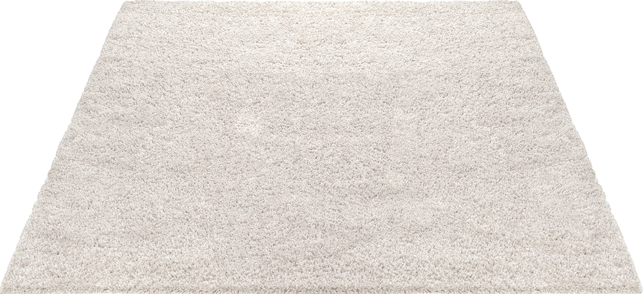 Port Shaggy Moderner Hochflor Teppich