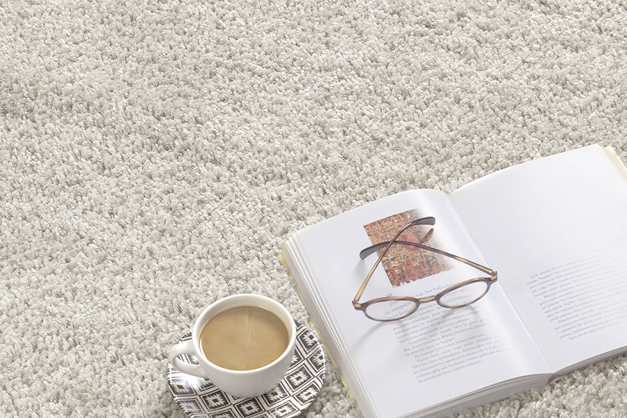 Port Shaggy Moderner Hochflor Teppich