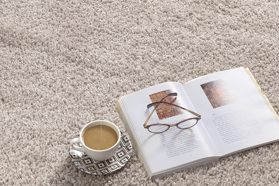 Port Shaggy Moderner Hochflor Teppich