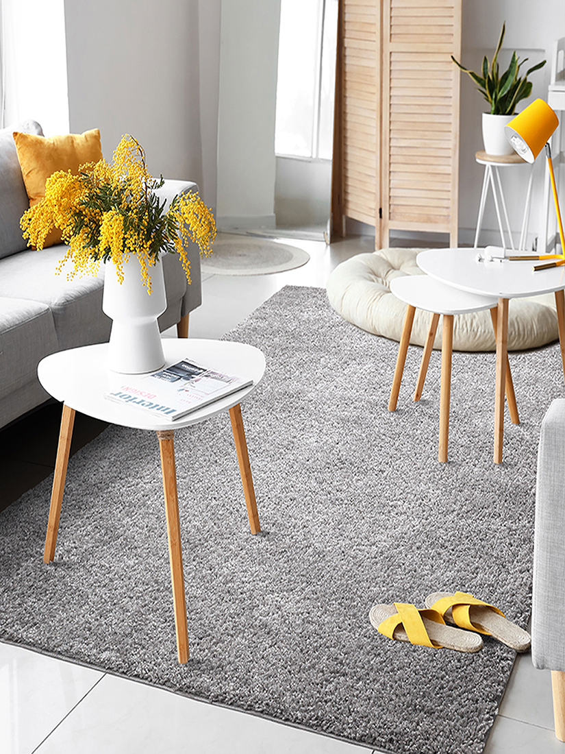 Port Shaggy Moderner Hochflor Teppich