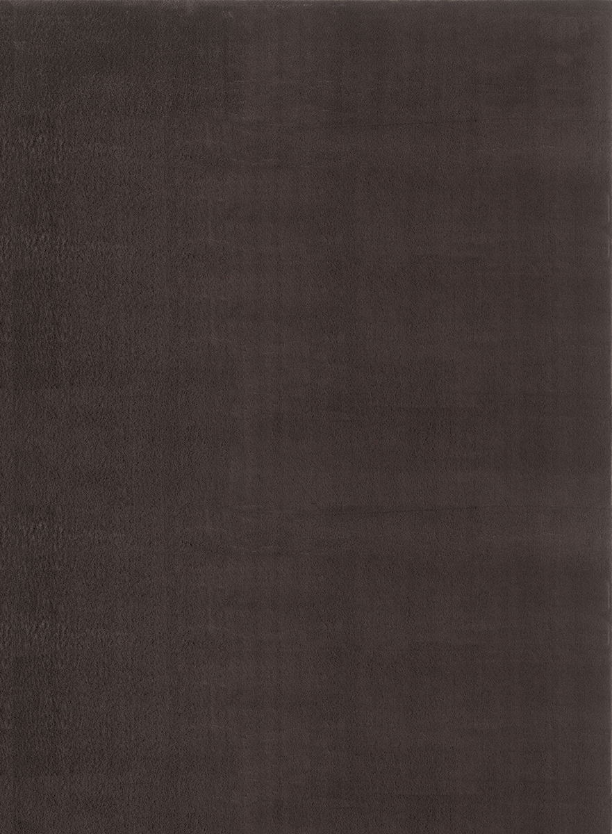 64558 - Braun