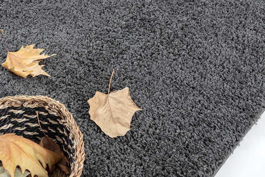 Port Shaggy Moderner Hochflor Teppich